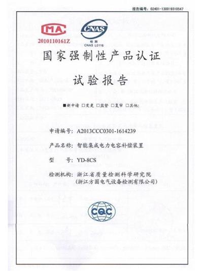 YD-8CS test report